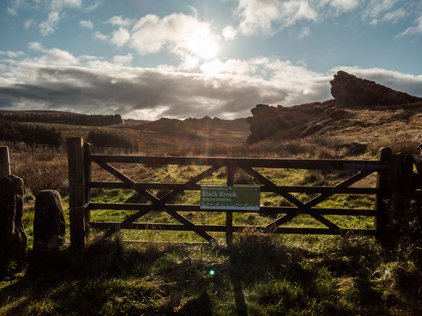 Black Brook nature reserve gate