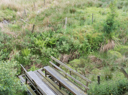 Church pews at the streamside