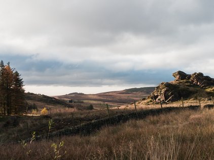 Gib Torr, from Black Brook nature reserve