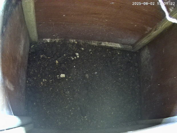 An empty barn owl nest box
