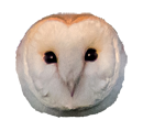 barn owl face logo for Peak district Retreat